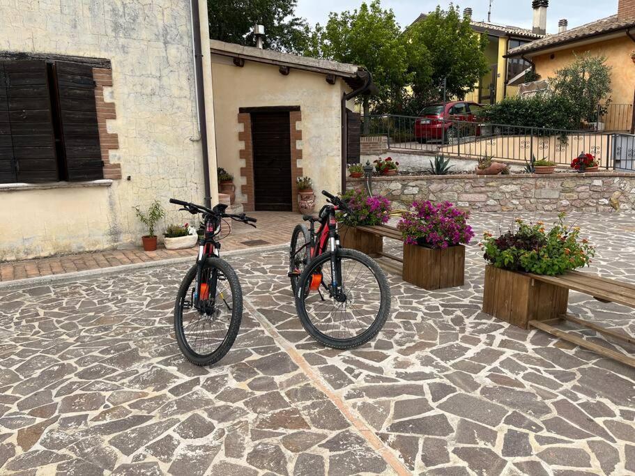 Casa Vacanze Vecchio Frantoio Residenza Leccino Spoleto Luaran gambar